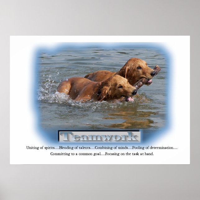 Golden Retriever Gifts Poster (Front)