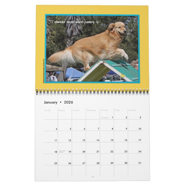 Golden Retriever "Goldens Rule" 12-month Calendar (Jan 2026)