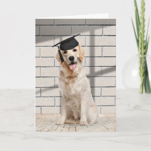 Golden Retriever Graduate On Brick Card