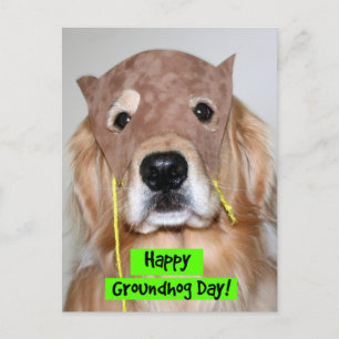 Golden Retriever Groundhog Day Postcard