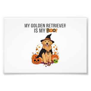 Golden Retriever Halloween Dog My Golden Retrieve Photo Print