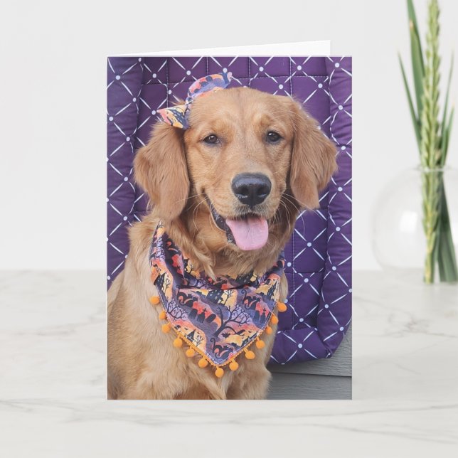 Golden Retriever Halloween greeting card (Front)