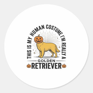 Golden Retriever Halloween Pumpkin Costume Design_ Classic Round Sticker