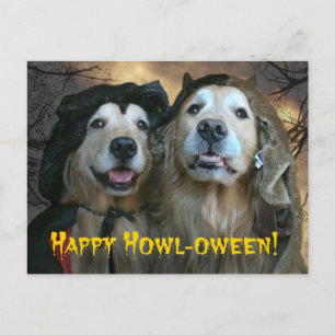 Golden Retriever Happy Howl-oween Postcard