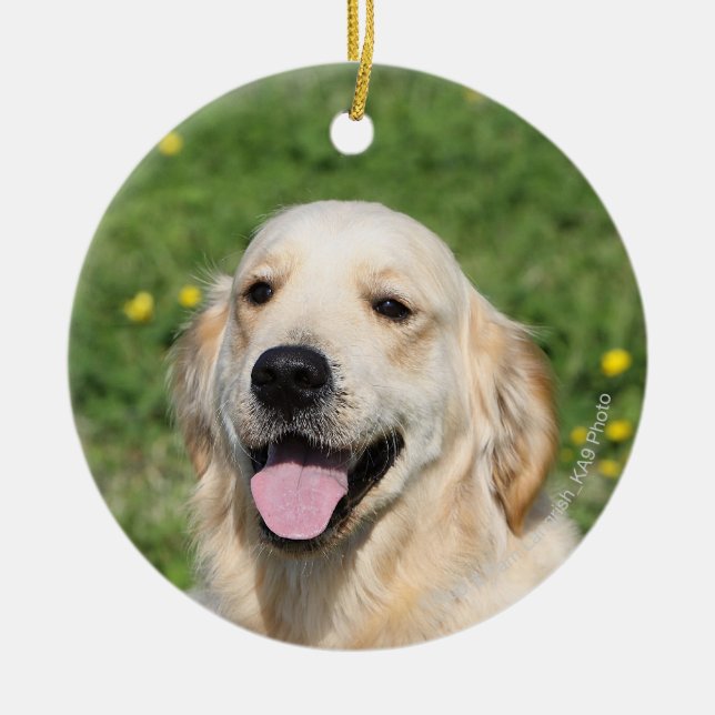 Golden Retriever Headshot 1 Ceramic Ornament (Front)