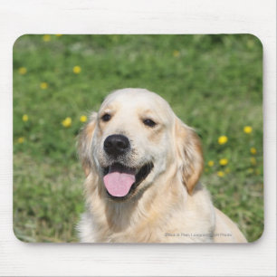 Golden Retriever Headshot 1 Mouse Pad