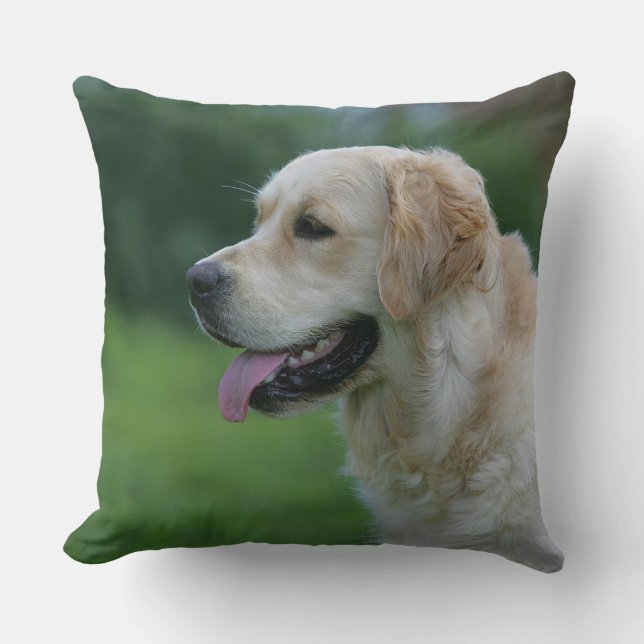 Golden Retriever Headshot 2 2 Cushion (Front)