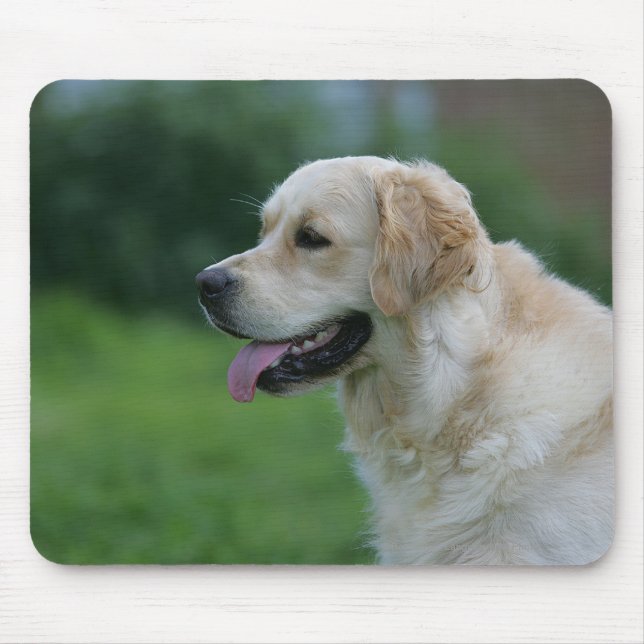 Golden Retriever Headshot 2 2 Mouse Pad (Front)