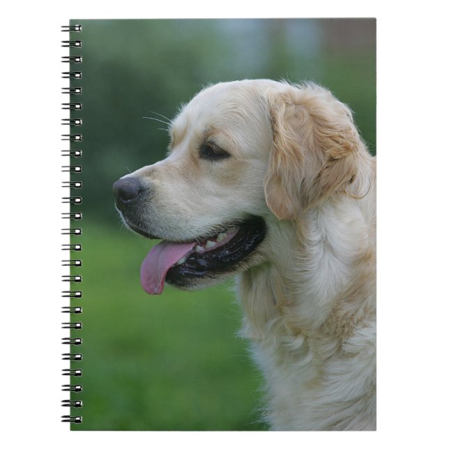 Golden Retriever Headshot 2 2 Notebook (Front)