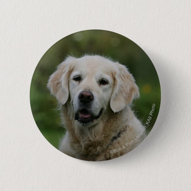 Golden Retriever Headshot 2 6 Cm Round Badge (Front)