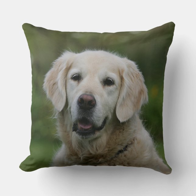 Golden Retriever Headshot 2 Cushion (Front)