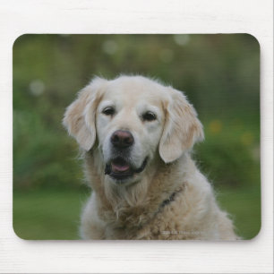 Golden Retriever Headshot 2 Mouse Pad