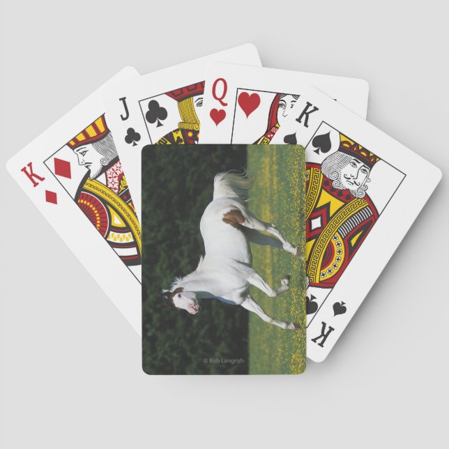 Golden Retriever Headshot 3 Deck Of C - Customised Playing Cards (Back)