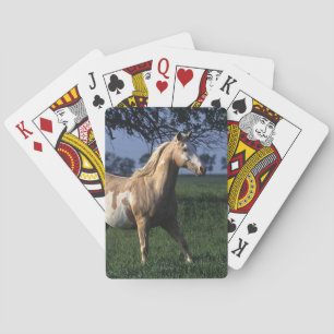 Golden Retriever Headshot 3 Deck Of C - Customised Playing Cards