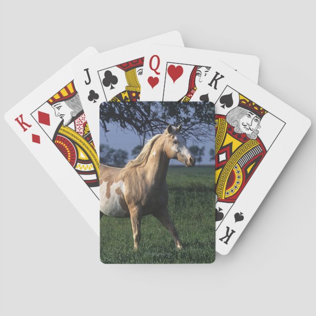Golden Retriever Headshot 3 Deck Of C - Customised Playing Cards (Back)