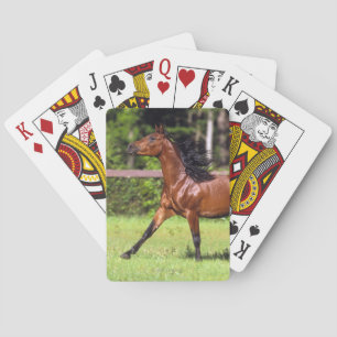 Golden Retriever Headshot 3 Deck Of C - Customised Playing Cards