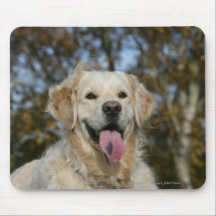 Golden Retriever Headshot 3 Mouse Pad