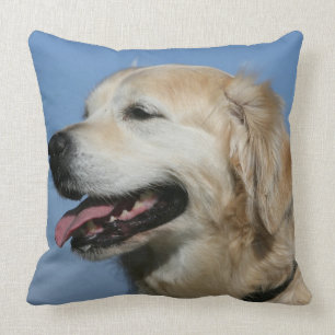 Golden Retriever Headshot 4 Cushion