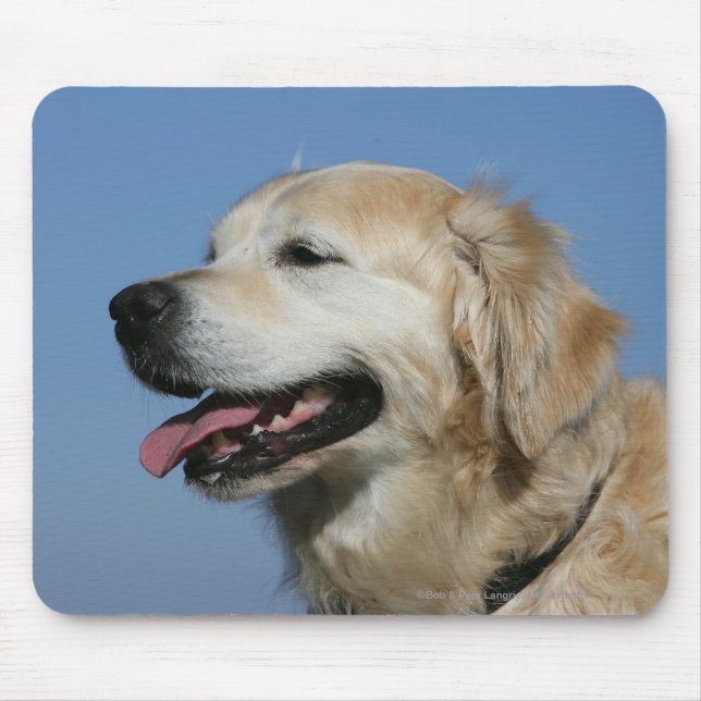 Golden Retriever Headshot 4 Mouse Pad (Front)