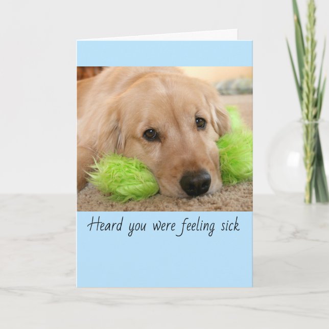 Golden Retriever Heard You Were Sick Get Well Card (Front)