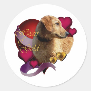 Golden Retriever Heart of Gold Classic Round Sticker