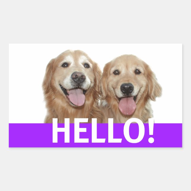 Golden Retriever Hello Rectangular Sticker (Front)