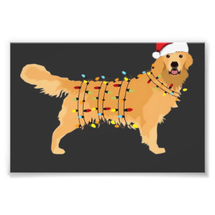 Golden Retriever Holiday Christmas Light Essential Photo Print