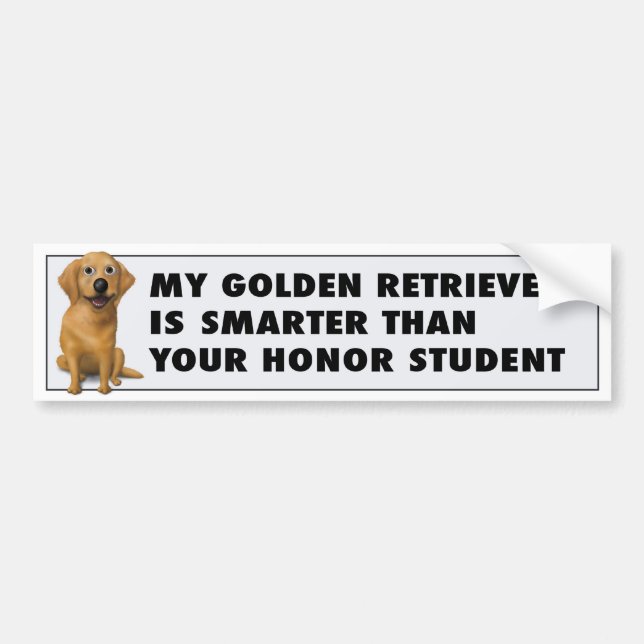 Golden Retriever Honour GR1 Bumper Sticker (Front)
