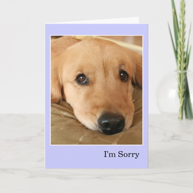 Golden Retriever I'm Sorry Apology Card (Front)