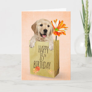 Golden Retriever in 85th Birthday Bag  Card