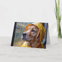 Golden Retriever In a Rain Slicker