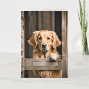 Golden Retriever In Barn Door For Birthday Card