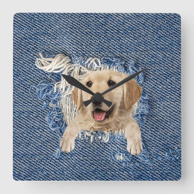 Golden Retriever In Blue Jean Hole Square Wall Clock (Front)