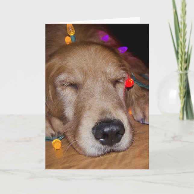 Golden Retriever in Christmas Lights Holiday Card (Front)