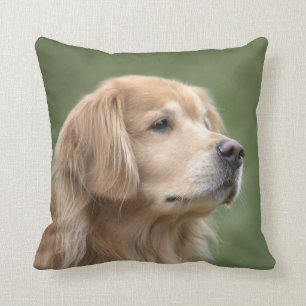 Golden Retriever in CloseUp Cushion