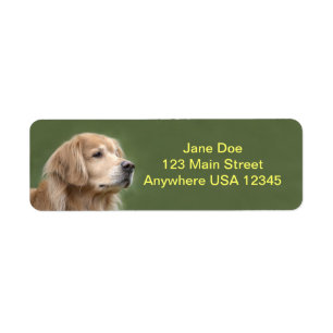 Golden Retriever in Closeup Return Address Label