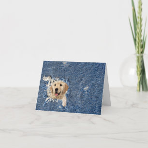 Golden Retriever In Denim Hole Note Card