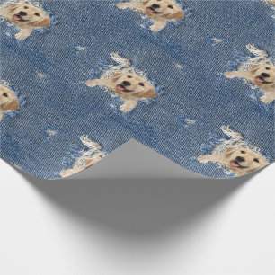 Golden retriever in frayed blue jean hole wrapping paper