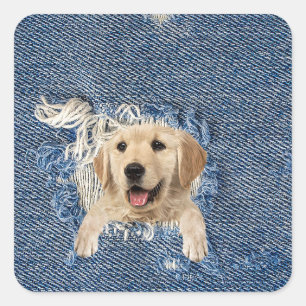 golden retriever in frayed denim fabric hole square sticker