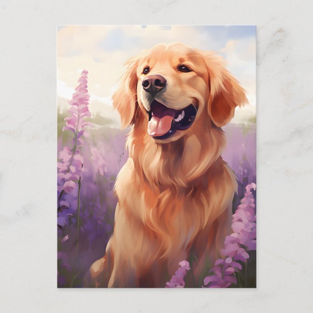 Golden Retriever in Lavender field Postcard (Front)