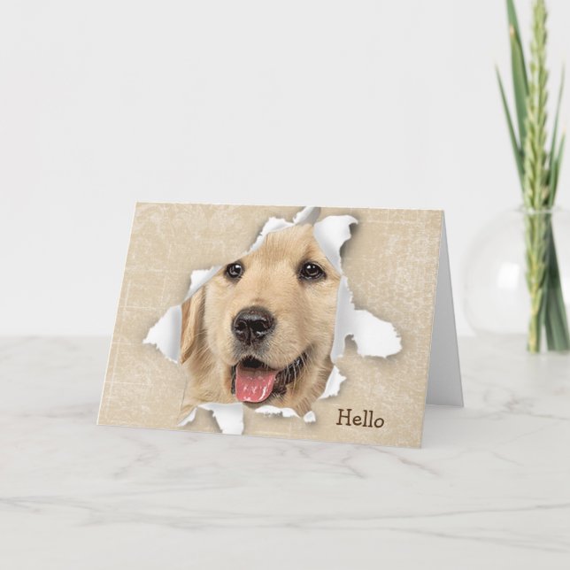 Golden Retriever In Paper Hole Hello Card (Front)