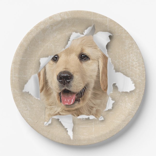 Golden Retriever in Paper Hole Paper Plate (Front)