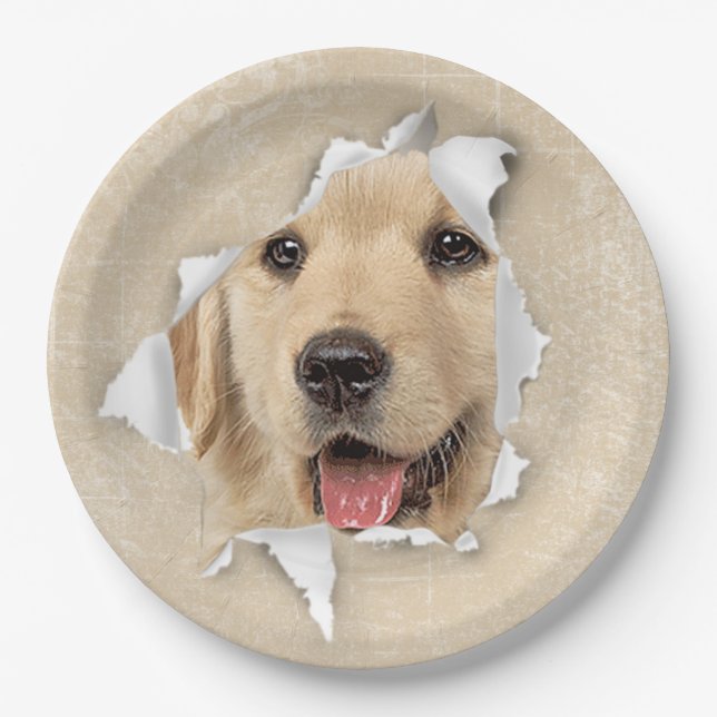 Golden Retriever in Paper Hole Paper Plate (Front)
