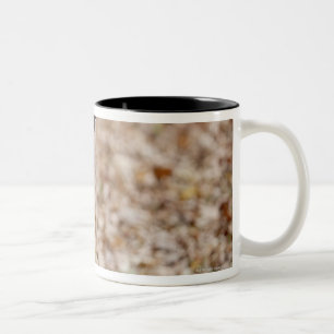 golden retriever in park in autumn Two-Tone coffee mug
