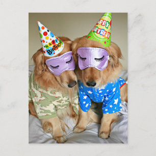 Golden Retriever in Pyjamas Birthday Postcard