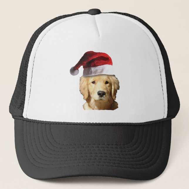 Golden Retriever In Santa Hat (Front)
