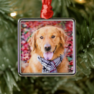 Golden Retriever In Scarf Metal Ornament