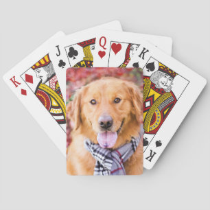 Golden Retriever In Scarf Playing Cards