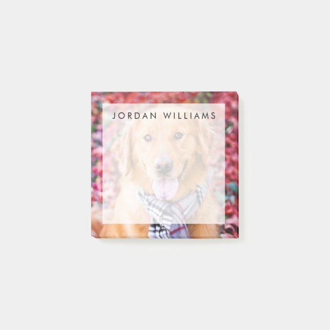 Golden Retriever In Scarf Post-it Notes (Front)