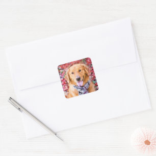 Golden Retriever In Scarf Square Sticker